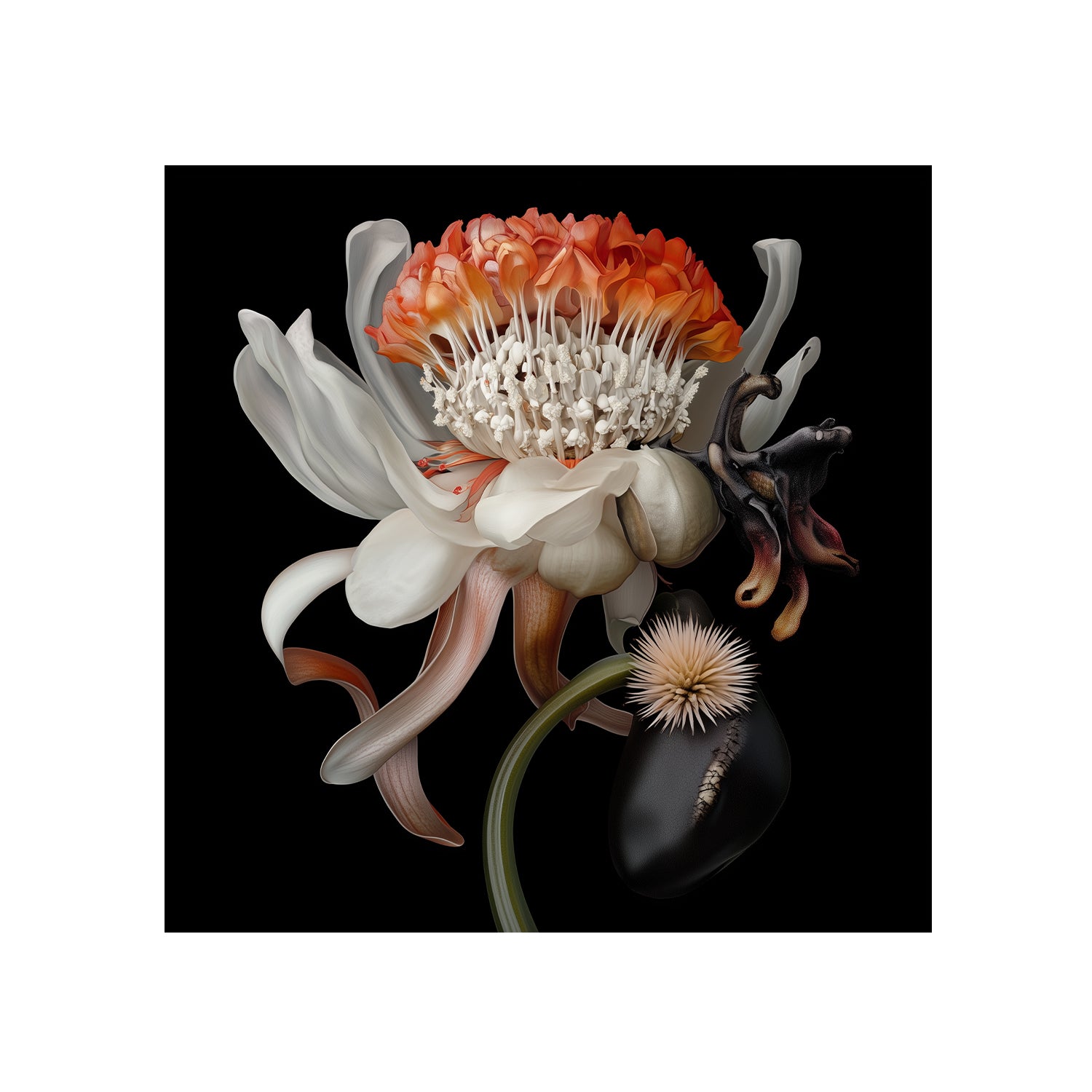 Hybrid Bloom 1, 2025