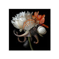 Hybrid Bloom 2, 2025