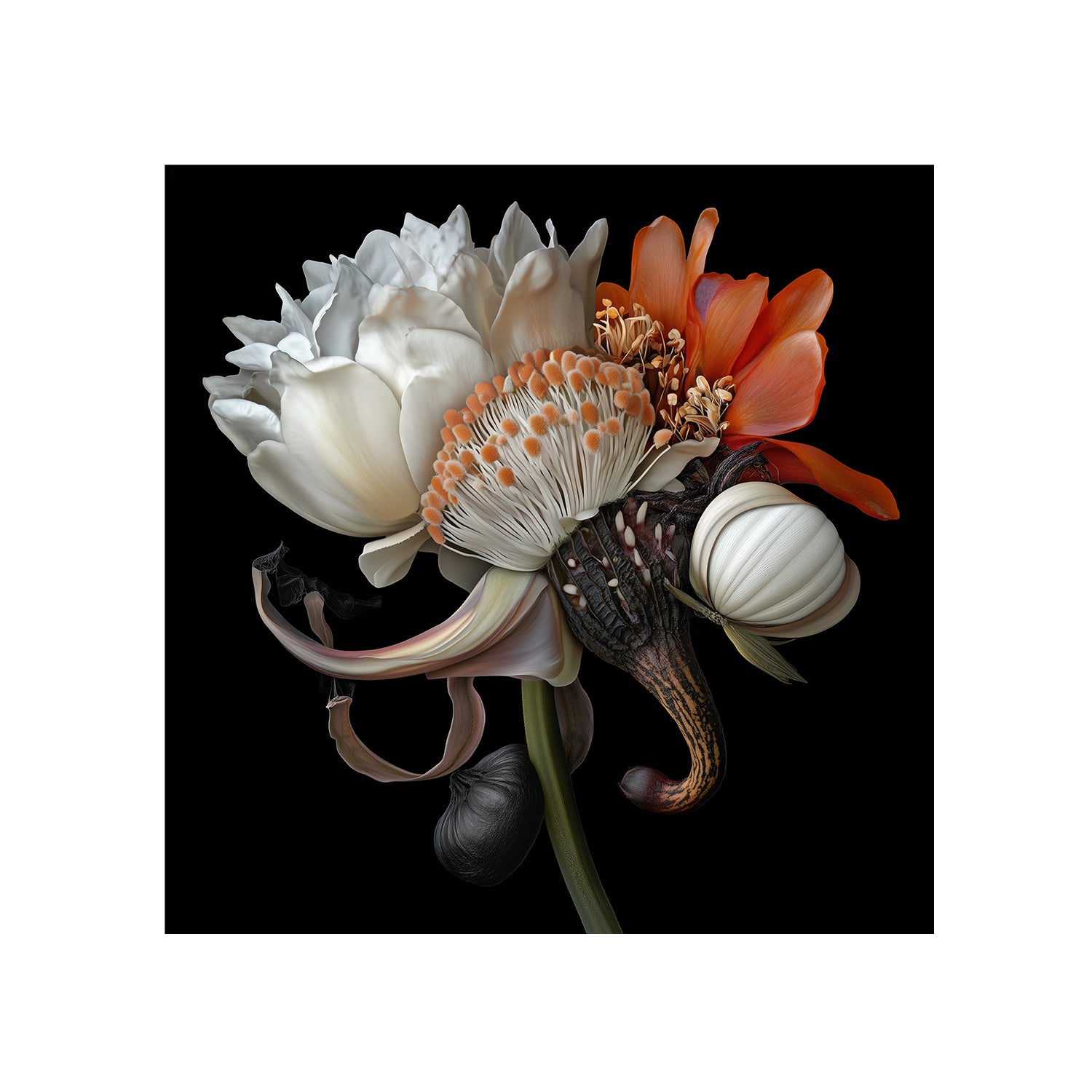 Hybrid Bloom 2, 2025