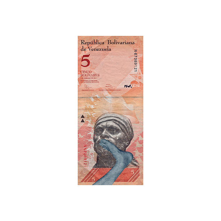 Bolívares Intervenidos_02