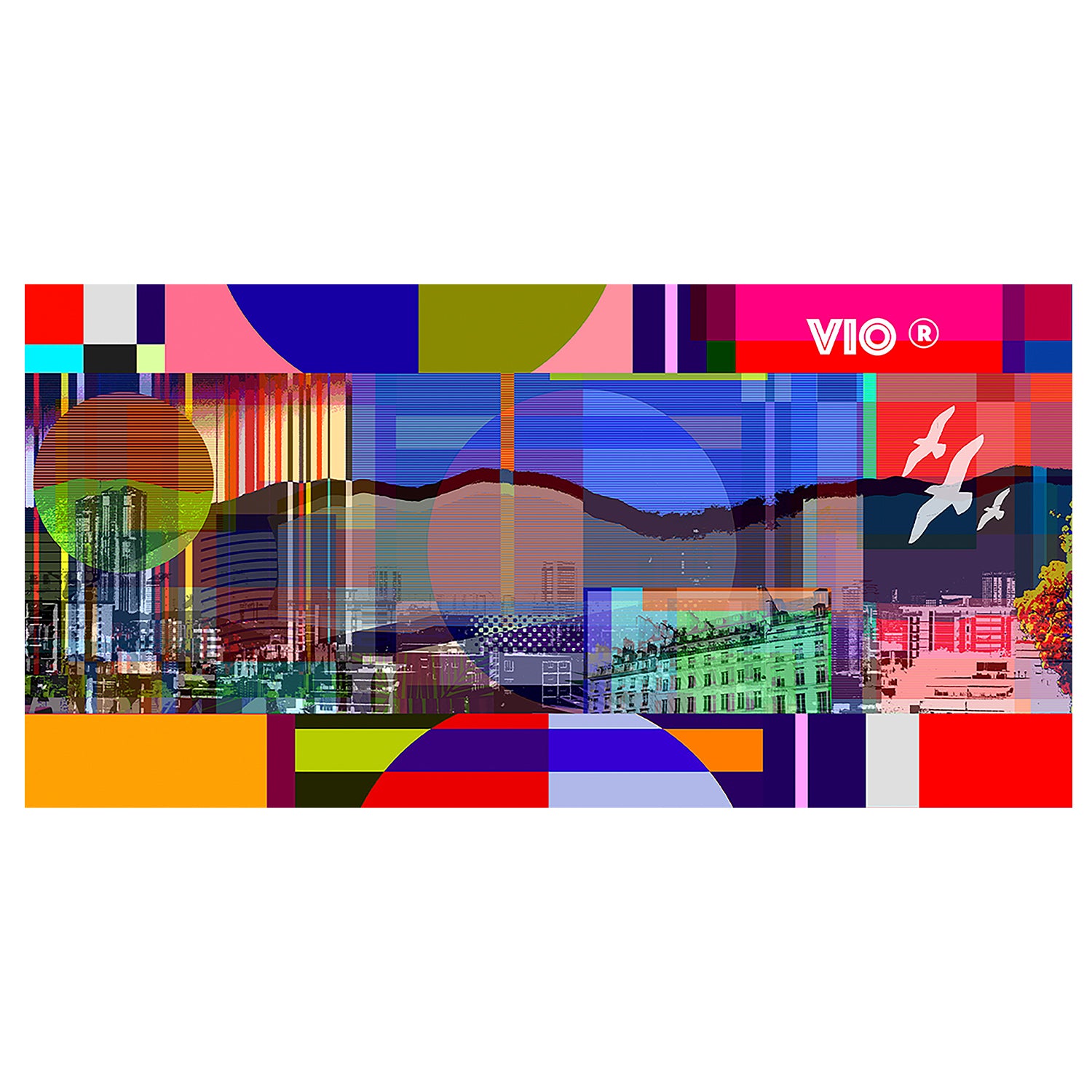 Caracas Vibrante, 2024