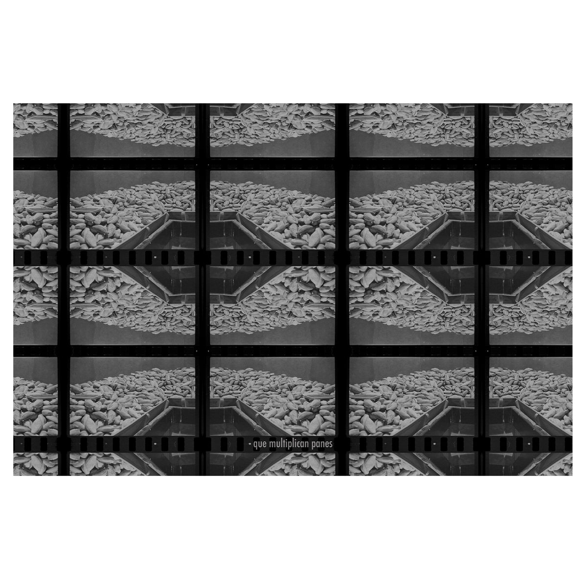 12- Que multiplican panes